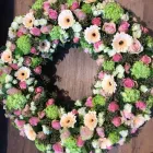 Unternehmen 7 Bild GÄRTNEREI WELLING Produktion und Vertrieb von Pflanzen am Münster NRW