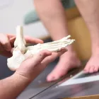 Unternehmen 2 Bild GESUNDE SCHUHE BUSTA ORTHOPÄDIESCHUHTECHNIK GBR Orthopädie, Sanitätshäuser am Augsburg BY