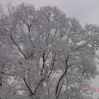 Unternehmen 5 Bild HAUSMEISTEREI NÜSSLE Immobilien am München BY