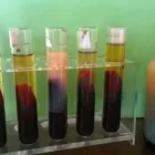 Unternehmen 2 Bild HEILPRAXIS NACH HILDEGARD VON BINGEN DANIELA DUMANN HEILPRAKTIKERIN Ärzte am Berlin BE