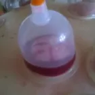 Unternehmen 3 Bild HEILPRAXIS NACH HILDEGARD VON BINGEN DANIELA DUMANN HEILPRAKTIKERIN Ärzte am Berlin BE