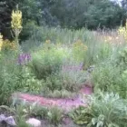 Unternehmen 1 Bild HEILPRAXIS NACH HILDEGARD VON BINGEN DANIELA DUMANN HEILPRAKTIKERIN Ärzte am Berlin BE