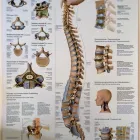 Unternehmen 8 Bild HEILZENTRUM FÜR SPORT- UND TANZMEDIZIN HEILPRAKTIKER CHRISTIAN BEREGOV Ärzte am München BY