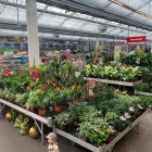Unternehmen 1 Bild HELLWEG - DIE PROFI-BAUMÄRKTE GÜTERSLOH Baumärkte, Heimwerkermärkte am Gütersloh NW
