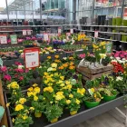 Unternehmen 5 Bild HELLWEG - DIE PROFI-BAUMÄRKTE GÜTERSLOH Baumärkte, Heimwerkermärkte am Gütersloh NW