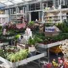 Unternehmen 3 Bild HELLWEG - DIE PROFI-BAUMÄRKTE MÜNSTER-LODDENHEIDE Baumärkte, Heimwerkermärkte am Münster NW