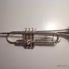Unternehmen 2 Bild HERBERT LÄTZSCH KG Musikinstrumente Einzelhandel am Bremen HB