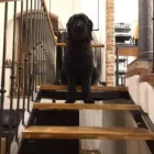 Unternehmen 1 Bild HERZENSSACHE Kosmetiksalons am München BY