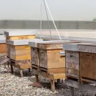 Unternehmen 40 Bild HOLIDAY INN MUNICH - CITY CENTRE, AN IHG HOTEL Veranstaltungen & Messen am München BY