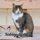 Unternehmen 1 Bild HOMESITTING SABINE ROTHER Zoohandlung am Dresden SN