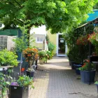 Unternehmen 4 Bild HOTEL IM HOFGARTEN Reisen am Potsdam BB