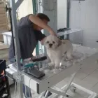 Unternehmen 4 Bild HUNDESALON FELLKINDER Zoohandlung am Dresden SN