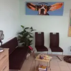 Unternehmen 6 Bild HUNDESALON FELLKINDER Zoohandlung am Dresden SN
