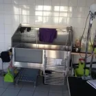 Unternehmen 9 Bild HUNDESALON FELLKINDER Zoohandlung am Dresden SN