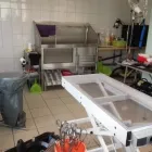 Unternehmen 10 Bild HUNDESALON FELLKINDER Zoohandlung am Dresden SN