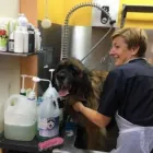 Unternehmen 11 Bild HUNDESALON FELLKINDER Zoohandlung am Dresden SN