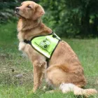 Unternehmen 24 Bild HUNDESCHULE GREH Zoohandlung am Berlin BE