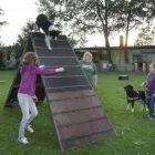 Unternehmen 26 Bild HUNDESCHULE GREH Zoohandlung am Berlin BE
