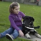 Unternehmen 27 Bild HUNDESCHULE GREH Zoohandlung am Berlin BE