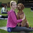 Unternehmen 28 Bild HUNDESCHULE GREH Zoohandlung am Berlin BE