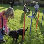 Unternehmen 30 Bild HUNDESCHULE GREH Zoohandlung am Berlin BE