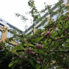 Unternehmen 4 Bild INSTITUT FÜR BILDUNG U. SICHERHEIT E. HESSE Schulen & Fortbildung am Berlin BE