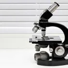 Unternehmen 3 Bild INTERNIST / DIABETOLOGIE DR. MED. SCHILLER MÜNCHEN SCHWABING Ärzte am München BY