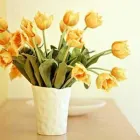 Unternehmen 4 Bild INTERNIST / DIABETOLOGIE DR. MED. SCHILLER MÜNCHEN SCHWABING Ärzte am München BY