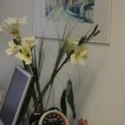 Unternehmen 2 Bild INTERNIST /KARDIOLOGE DR. MED. KARL MICHAEL SCHMID MÜNCHEN Ärzte am München BY