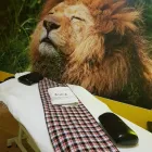 Unternehmen 5 Bild JAMBO AFRO SHOP Schönheitsfarmen am Berlin BE