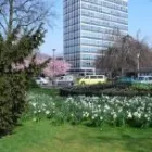 Unternehmen 1 Bild KAPITO SPRACHSCHULE Sprachschulen, Fremdspracheninstitute am Münster NW