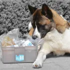 Unternehmen 2 Bild KAUBOX Zoohandlung am Bremen HB
