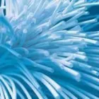 Unternehmen 6 Bild KEBOS GROUP Service & Dienstleistung am München BY