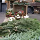 Unternehmen 14 Bild KIEBITZMARKT SIEGEN Zoohandlungen am Siegen NW