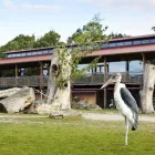 Unternehmen 6 Bild KIWARA-LODGE Restaurant & Café am Leipzig SN