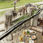 Unternehmen 8 Bild KIWARA-LODGE Restaurant & Café am Leipzig SN