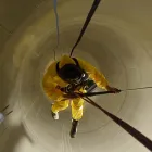 Unternehmen 15 Bild KLETTERKOLLEKTIV INDUSTRIEKLETTERER Service & Dienstleistung am Berlin BE