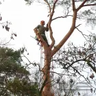 Unternehmen 3 Bild KLETTERKOLLEKTIV INDUSTRIEKLETTERER Service & Dienstleistung am Berlin BE