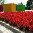 Unternehmen 1 Bild KOCH GARTENBAU Soziales & Gesellschaft am Münster NW