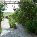 Unternehmen 2 Bild KRICKOW GARTEN- UND LANDSCHAFTSBAU Gartenbauunternehmen, Landschaftsbauunternehmen am Potsdam BB