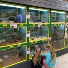 Unternehmen 3 Bild LEITERMANN GMBH & CO. FACHMARKT KG Baustoff Einzelhandel am Zwickau SN