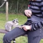 Unternehmen 3 Bild LEXAS18-DRESSPLANER.DE Service & Dienstleistung am München BY