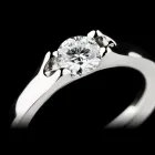 Unternehmen 145 Bild LIEBLINGSRING LEIPZIG Schmuck-Dienstleistungen, Uhren-Dienstleistungen, Edelmetallwaren-Dienstleistungen am Leipzig SN