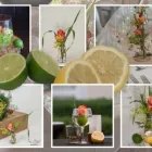 Unternehmen 27 Bild LIZA - FLORISTIK ELIZABETH KLEINSORG Produktion und Vertrieb von Pflanzen am Rheda-Wiedenbrück NW