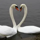 Unternehmen 11 Bild LOGOPÄDISCHE PRAXIS GERN | MÜNCHEN NYMPHENBURG Ärzte am München BY