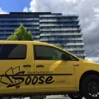 Unternehmen 1 Bild MALERFACHBETRIEB SOOSE Trockenbauarbeiten am Siegen NW