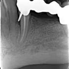 Unternehmen 1 Bild MEDECO ZAHNKLINIK BERLIN WEDDING Ärzte am Berlin BE