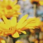 Unternehmen 1 Bild MEDI-KS BERLIN GMBH Medizinische Geräte und Reparatur Wartung am Berlin BE