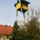 Unternehmen 35 Bild MEINHOLZHOF Zimmerarbeiten, Holzbauarbeiten am Torgau SN