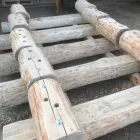 Unternehmen 18 Bild MEINHOLZHOF Zimmerarbeiten, Holzbauarbeiten am Torgau SN